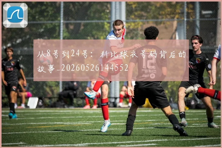 从8号到24号:科比球衣号码背后的故事_20260526144552